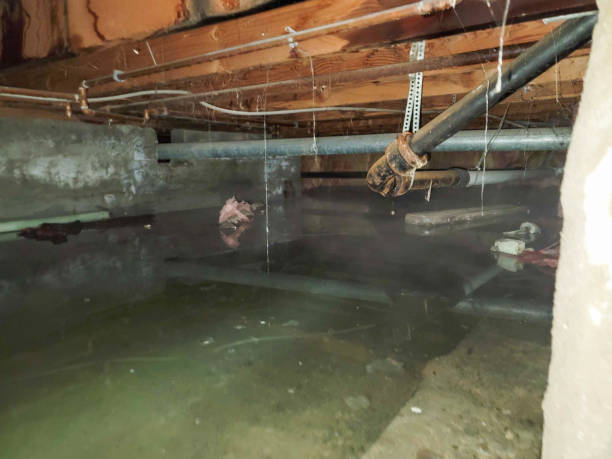 Best Emergency water damage restoration  in Shiloh, PA