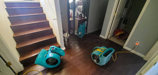 Best Water damage restoration near me  in Shiloh, PA