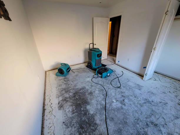 Best Commercial water damage restoration  in Shiloh, PA