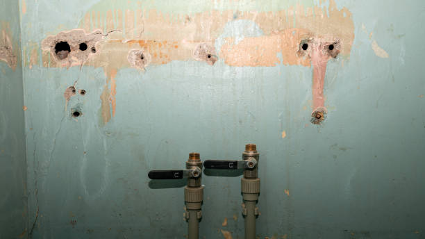 Best Water damage restoration process  in Shiloh, PA